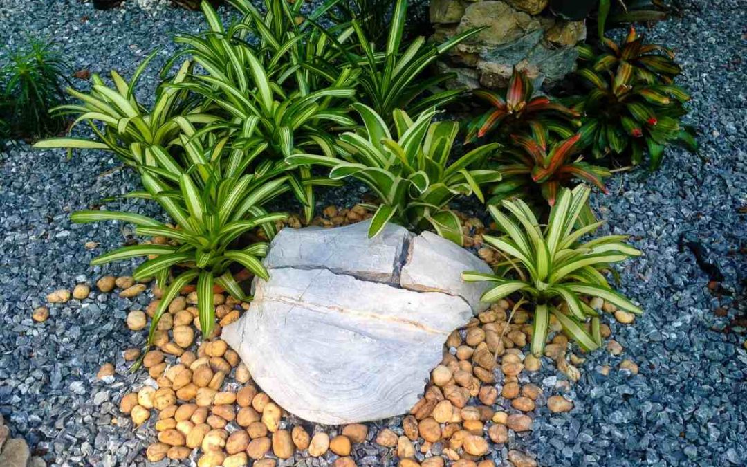 7 Drought-Resistant Landscaping Ideas for California