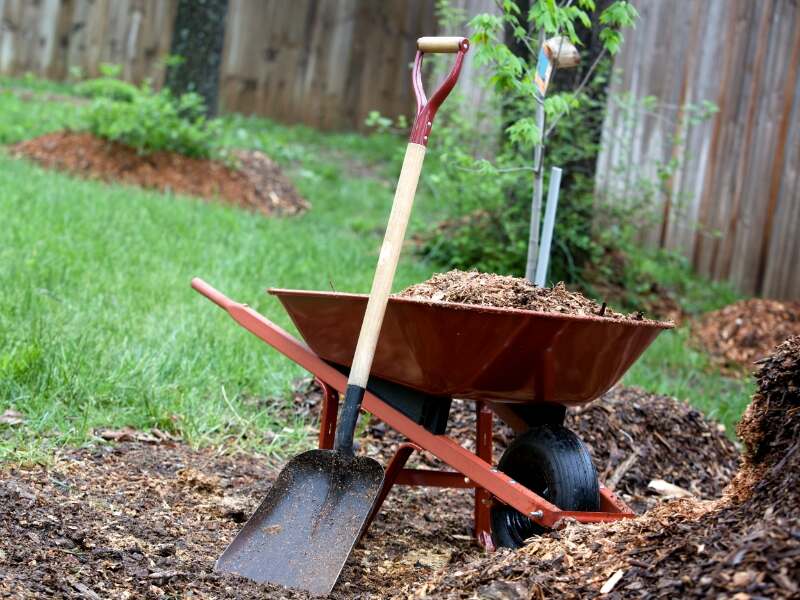 Mulch in wheelbarrow with shovel