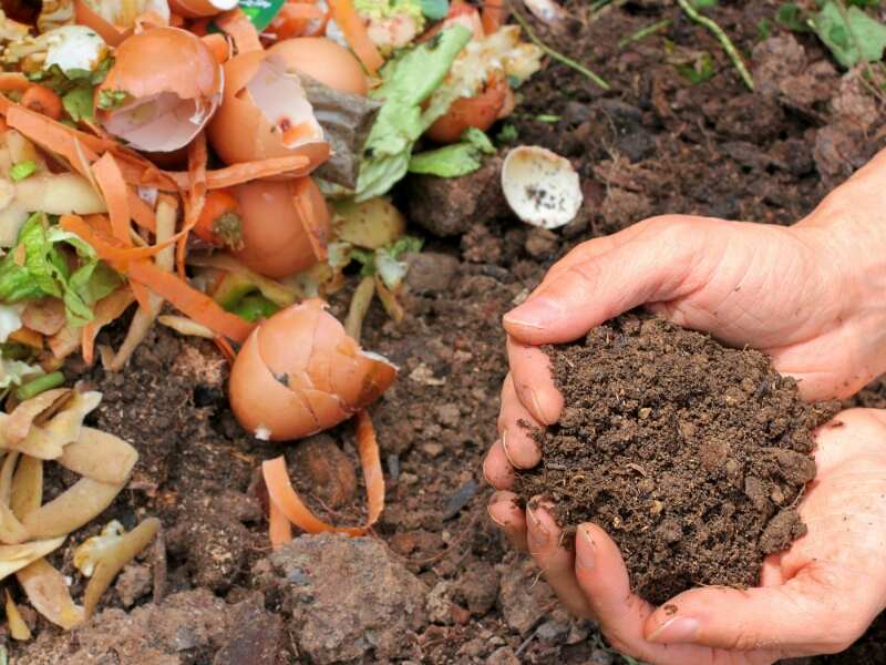 compost and soil