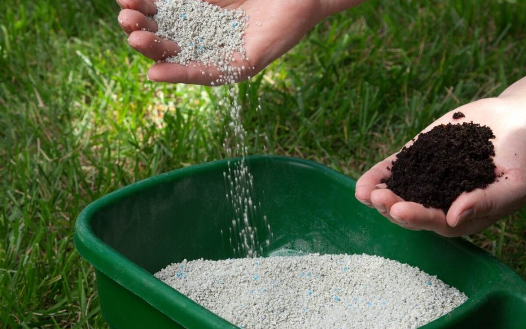 How to Choose Lawn Fertilizer