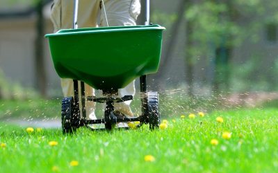 Why Weed and Feed is Bad for Your Lawn