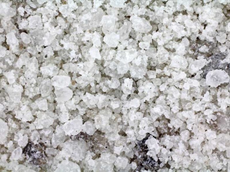 How to Use Salt to Kill Weeds Wikilawn