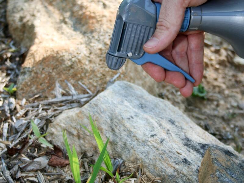 using spray to kill weeds in mulch