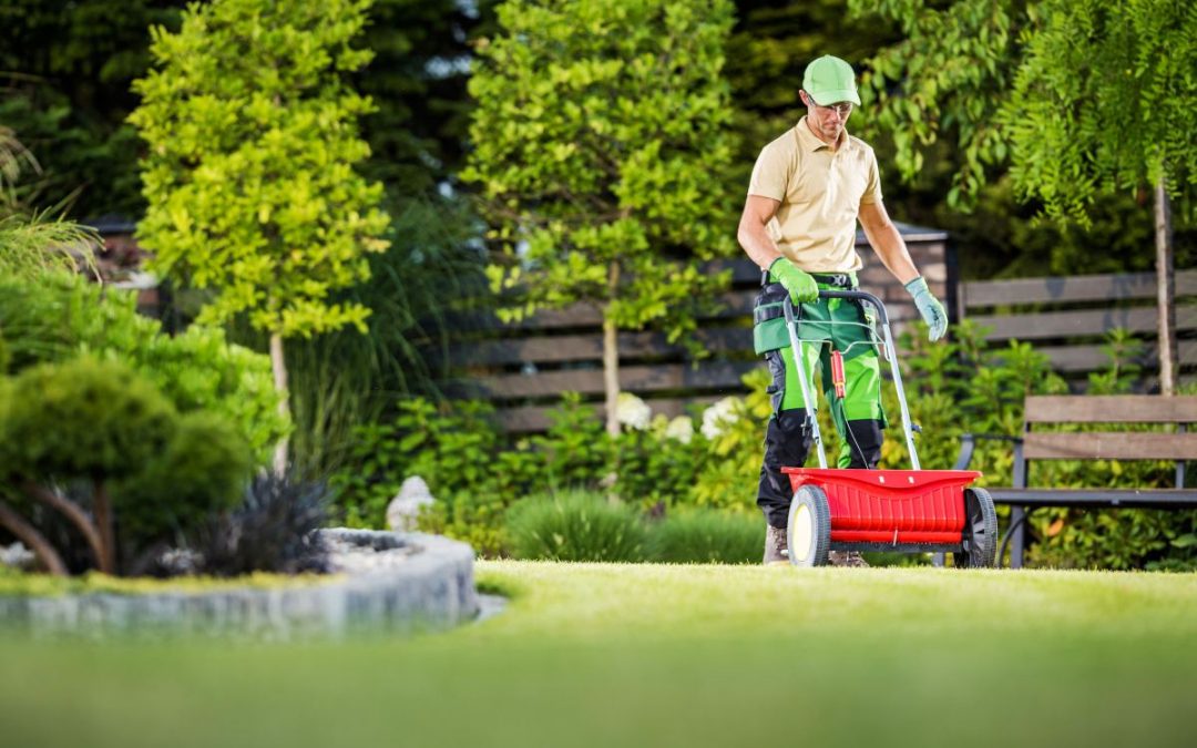 Lime for Lawns: Why, When, and How to Lime Your Lawn