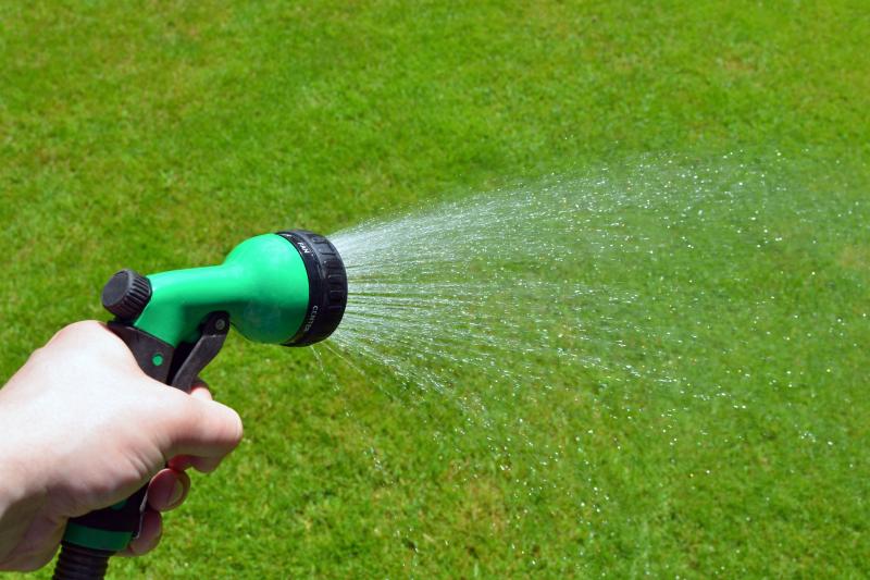 Person watering lawn with a hose